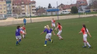 Sestre Savanović, kao braća Vujović, Superliga Srbije