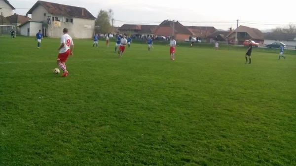 Zaslužena pobeda Ribnika, Prva rasinska okružna liga