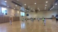 Kreće FFA futsal dečja liga Srbije