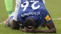 Šalke na nizbrdici, Nemačka: Bundesliga