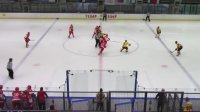 IHL 1/2 finala: Zvezda stala u polufinalu