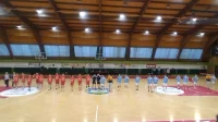 Lavovi preplivali Tisu