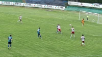 Dubočica "porodila" opstanak u Zemunu