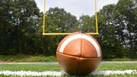 Prva liga Srbije: Indians Inđija vs Golden Bears Bor 82:0, Prva liga Jug
